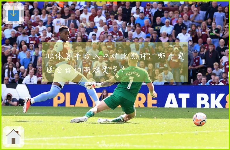 ng体育平台入口对比测评：哪个更适合你的游戏需求？