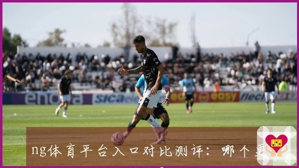 ng体育平台入口对比测评：哪个更适合你的游戏需求？